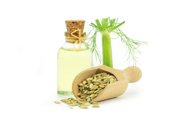 Glass bottle of fennel essential oil with fennel seeds and bulb isolated on white background. Herbs...