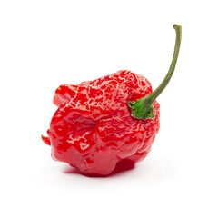 Carolina Reaper, the hottest chile pepper Capsicum chinense, whole ripe pod, isolated on white...