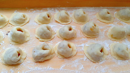 Making homemade dumplings with cabbage and mushrooms