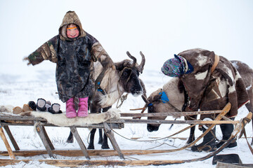 The Yamal Peninsula. Reindeer with a young reindeer herder. Happy boy on reindeer herder pasture playing with a toys in winter