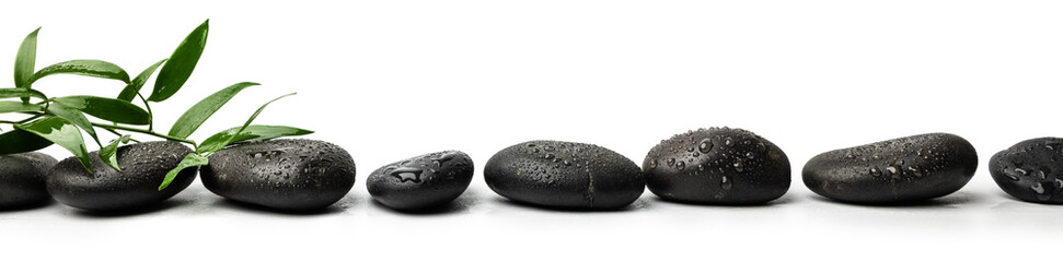 Obraz na płótnie Canvas black wet spa massage stones isolated on white background with green plant. banner