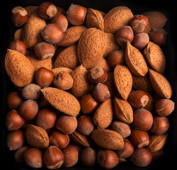 Assorted nuts of almonds and hazelnuts