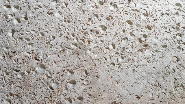 This is a light limestone slab with traces of shells. Shell rock texture. Natural stone background