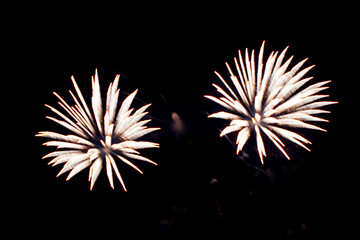 Brightly colorful fireworks and salute of various colors