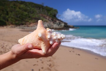 Fototapeta na wymiar Vacation souvenir from Guadeloupe