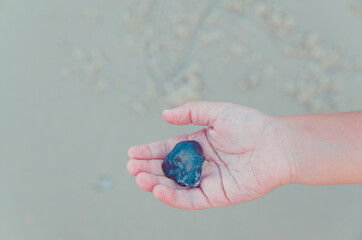 hand of the person with a shell