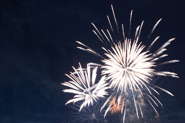 Brightly colorful fireworks and salute of various colors