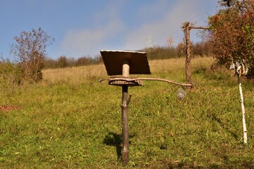 Care for bird feeder in the forest  with corn and seeds