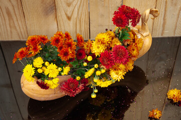 Orange and red flowers in a pumpkin on the black background with reflection. Seasonal autumn flowers