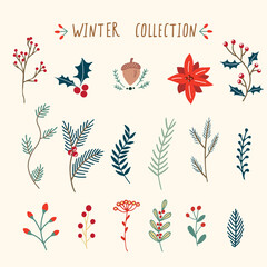 Set of vector Christmas winter floral elements. Constructor for your design. Vector illustration.