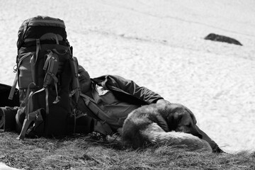 Hiker with big backpack and dog resting near snowy glacier