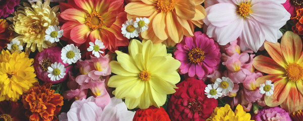 natural background with autumn garden flowers, top view.