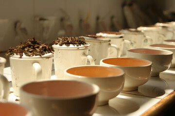 Nuwara Eliya Sri Lanka tea plantation tea tasting room with cups of different t