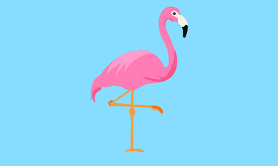 pink flamingo 