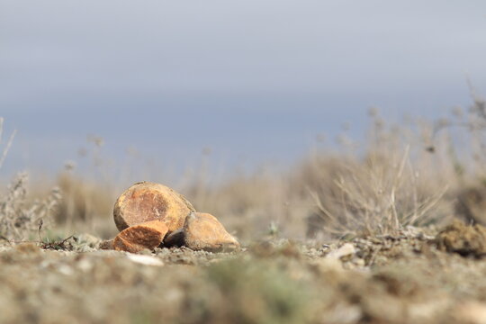 paisaje piedras anaranjadas en campo con hierva y fondo de cielo