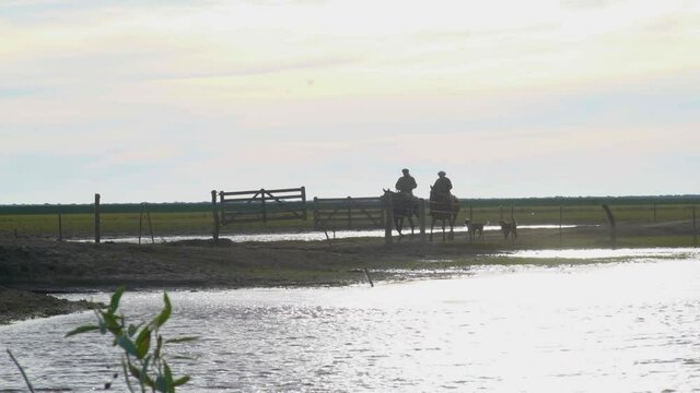 Men on horseback opening a gate in the field, with a backlight, with dogs. Next to a stream.