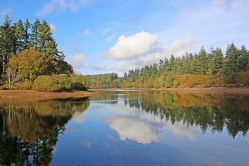 Fototapeta na wymiar Reflections in Tottiford Reservoir, Devon, in Autumn