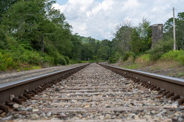Obraz premium Railroad Tracks in the Forest
