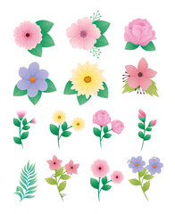 bundle of fourteen beautiful flowers and leafs decorative icons vector illustration design