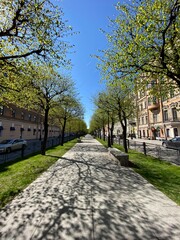 street in autumn