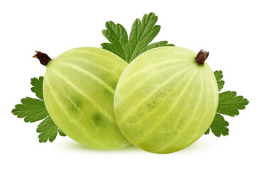 isolated green gooseberry on a white background.