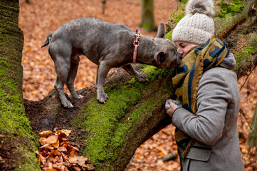 Cute french bulldog kissing it‘s owner in the forest during dog training