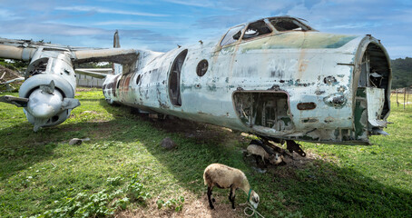 AIRCRAFT WRECK