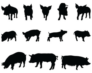 Black silhouettes pigs on a white background © Design Studio RM
