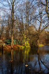autumn landscape forest pond surrounded by trees