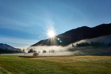 Foggy field in the sun