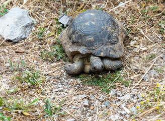 Travel to historical places in Greece.