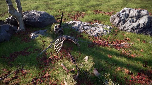 The skeleton remains of a human being who died on the battlefield by a sword to the skull.