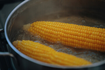 Maïs bouilli dans le pot