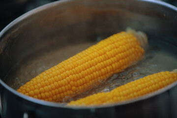 Maïs bouilli dans le pot
