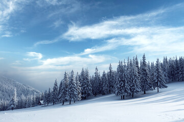 Fototapeta na wymiar Fantastic winter landscape with snowy trees. Carpathian mountains, Ukraine, Europe. Christmas holiday concept