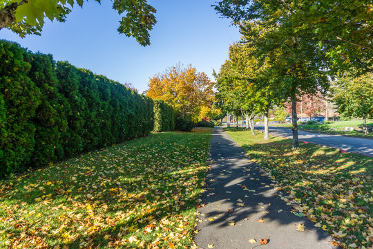 Seatac_Autumn_Street