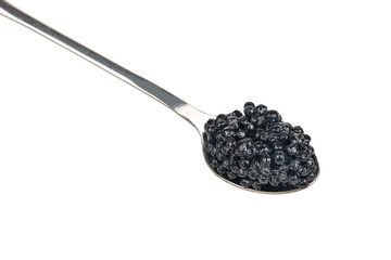 Black caviar in spoon