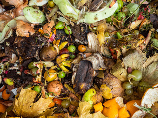 Different organic bio waste