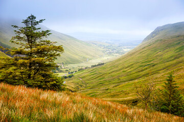 Rugged landscape at Glengesh Pass, County Donegal, Ireland. Beach with cliffs, green rocky land with sheep on foggy cloudy day. Wild Atlantic Way region.