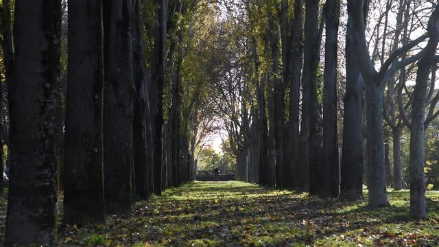Un hombre anda en bicicleta por un parque en un d&iacute;a soleado de oto&ntilde;o 