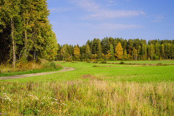 rural Russia. Beautiful autumn landscape. Picturesque green meadow with forest, Leningrad region, Russia
