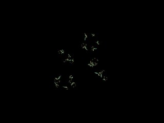 Imaginatory fractal background Image