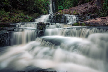 Fototapeta premium beautiful waterfall in forest, New Zealand 