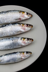 fresh and raw sardines as seafood