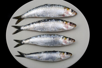 fresh and raw sardines as seafood