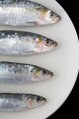 fresh and raw sardines as seafood