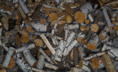 Chopped birch firewood piled in a pile of firewood.