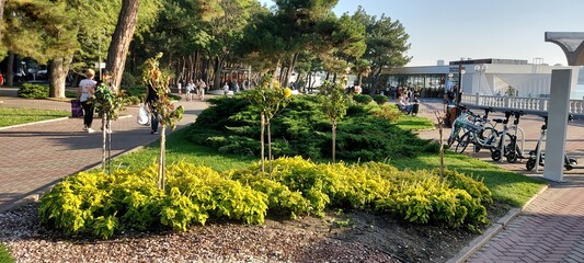 Obraz premium September 12, 20 Russia Gelendzhik. Embankment of the resort town with a promenade, bicycles and tourists relaxing by the sea.