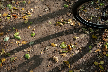 Obraz premium Fahrradtour im Herbst