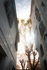 cityscape view of the town . beautiful Sunrise in tlemcen algeria Sunrise with clouds and trees and...